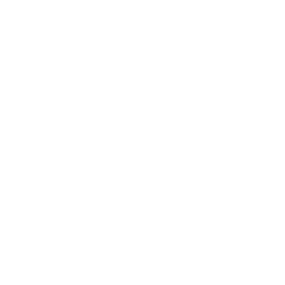 BLOOM — Electronic Music Festival